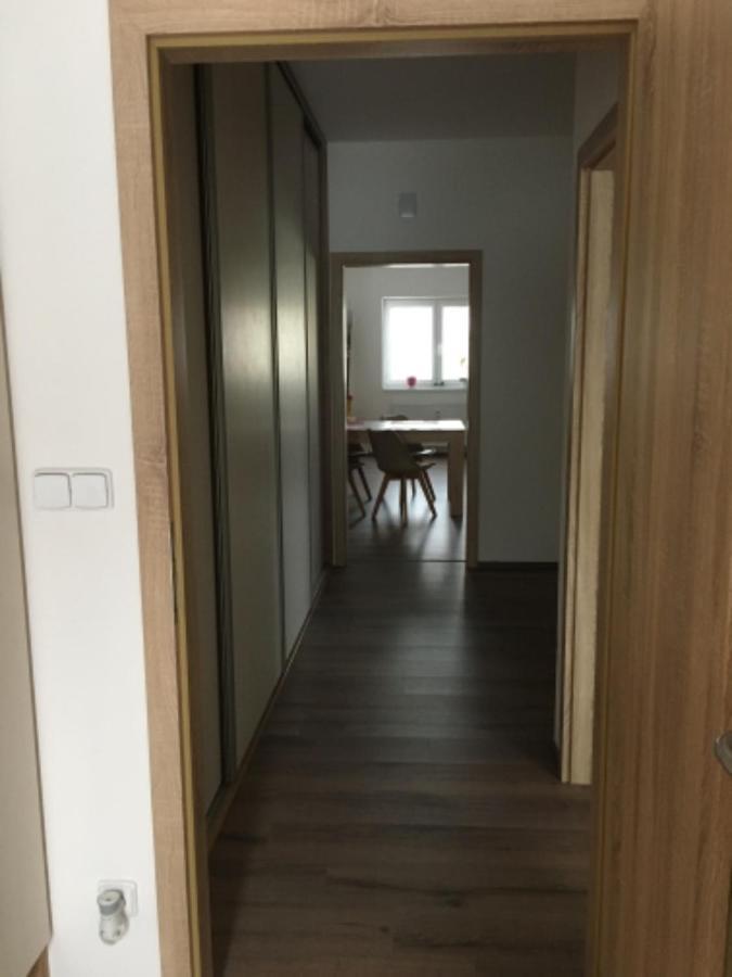 Apartament Papeto Frymburk Zewnętrze zdjęcie