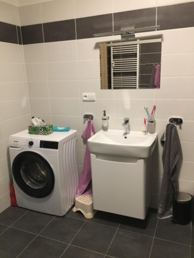 Apartament Papeto Frymburk Zewnętrze zdjęcie