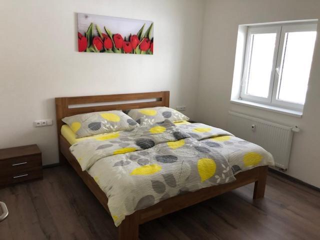 Apartament Papeto Frymburk Zewnętrze zdjęcie